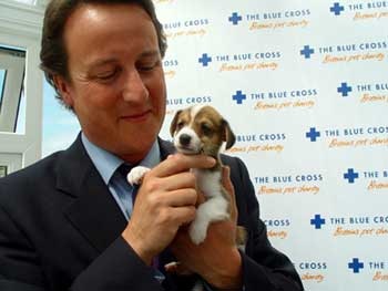 [David Cameron[2].jpg]