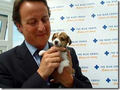 David Cameron