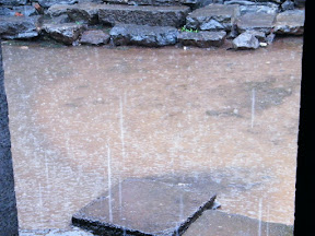 gathered pool from rain.