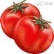 [tomato[2].jpg]