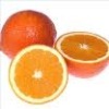 [orange[2].jpg]