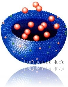 liposoma 4 liposoma 4