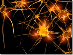 neuronas1 neuronas1