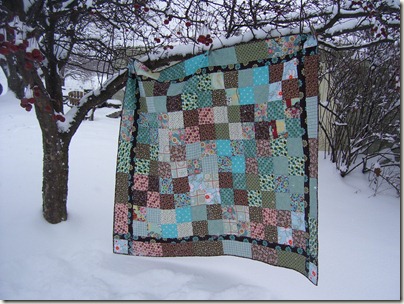 quilts, chickens, winter 014