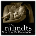 NILMDTS