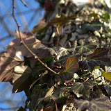 CRW_5114.jpg