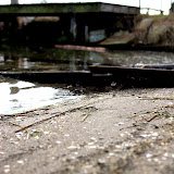 CRW_5343.jpg