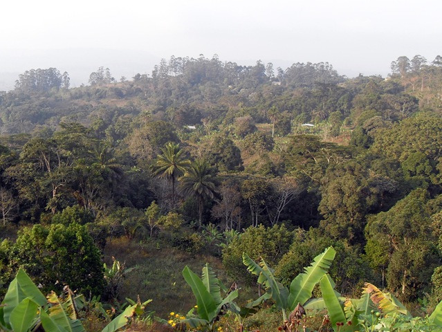 [SDC107624.jpg]