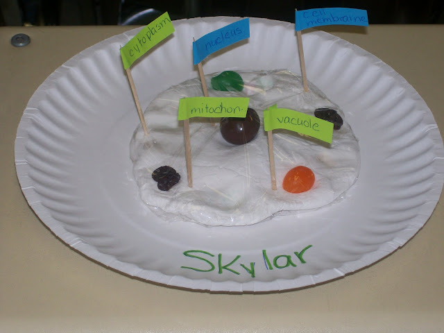 animal cell title