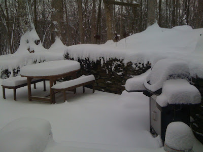 IMG_1258.JPG