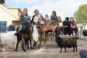 Kinderboerderij.JPG