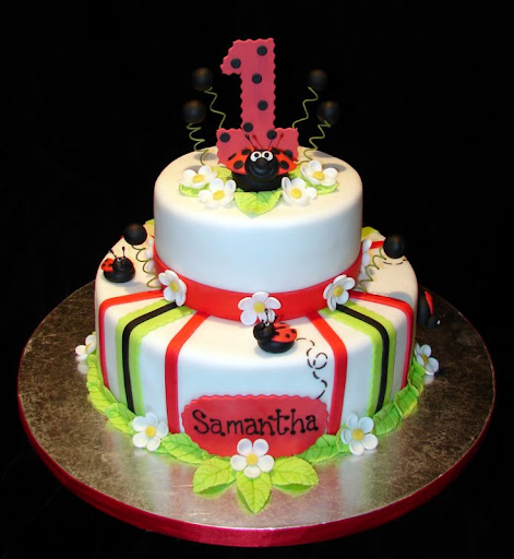 Lady Bug Cake 2-20-10 003.jpg
