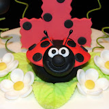 Lady Bug Cake 2-20-10 024.jpg