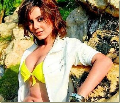 1minissha lamba sexy bollywood actress pictures 260310