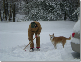 bob and daisy shoveling snow