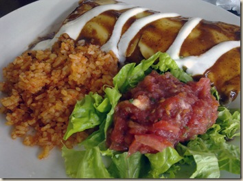 chicken enchilada
