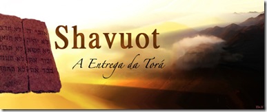fYVq3726446 fYVq3726446