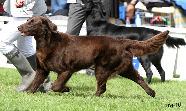 almanza-mocca-mirabelle1.jpg