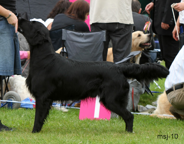 covenstead-spellmaker5.jpg