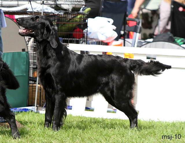 llantrussa-chiquitita1.jpg