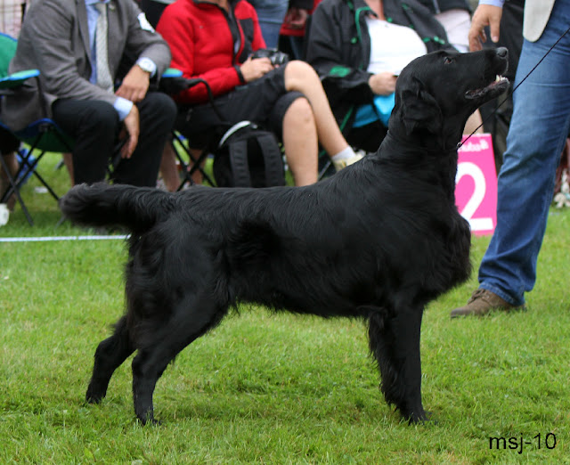 black-micas-not-your-b3.jpg