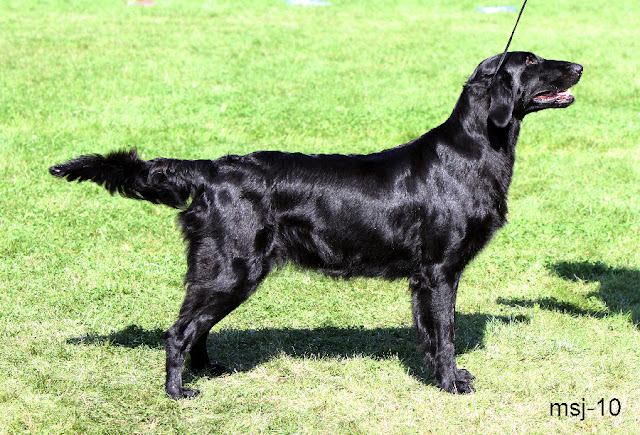 llantrussa-chiquitita2.jpg