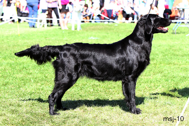 llantrussa-chiquitita3.jpg