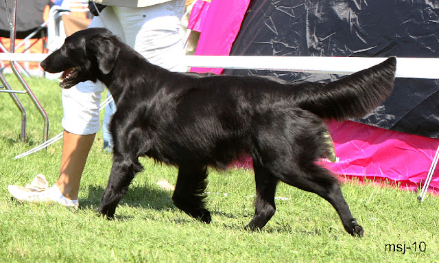 av-zan-iaz-black-kellie1.jpg