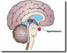 Hypo Hypo