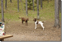 Playtime