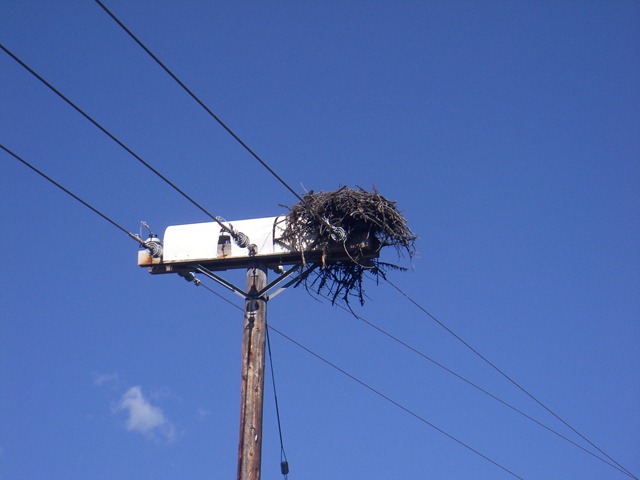 [IMGP02093.jpg]