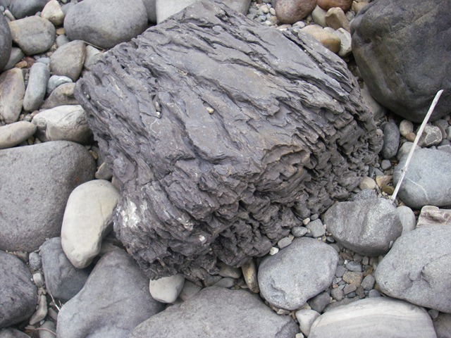 [IMGP02216.jpg]