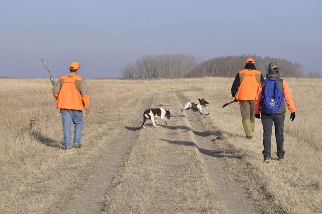 [_DSC0120[2].jpg]