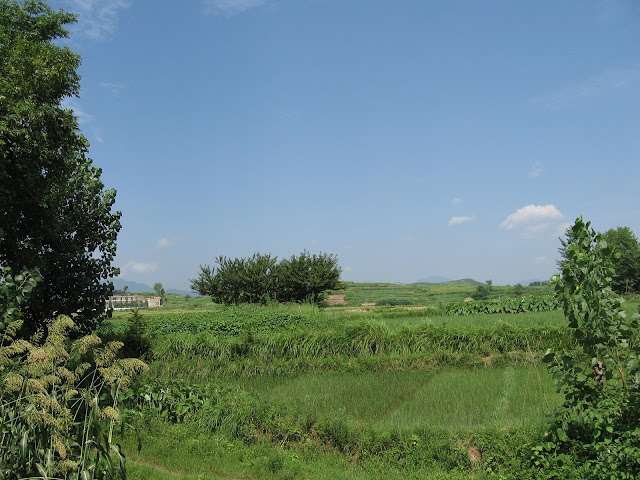 IMG_0201.JPG