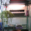 ceae's Indoor Seedling  garden