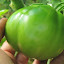 Tomato 'Japanese Black Trifele'