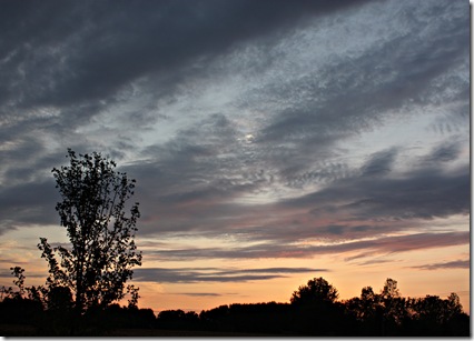 IMG_2624 IMG_2624