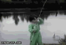 fishchase