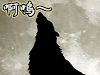 狼 狼