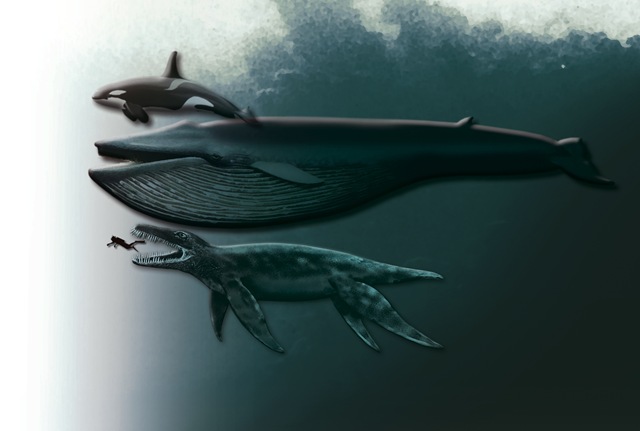 [Orcax Baleia Azul x humano x pliossauro O MONSTRO[2].jpg]