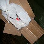 DSCN0603.JPG