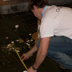 DSCN0646.JPG