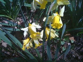 Posted via email from gregvedders's posterous