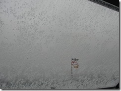 blog12