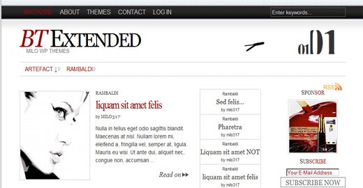 [BT-Extended-free-newspaper-style-wordpress-theme- wideget-ready-2009[2].jpg]