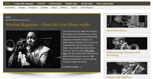 Wynton-Magazine -Free- premium-magazine-style- wideget-ready -wordpress-theme-2009