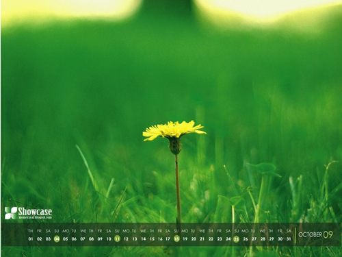 Cool HD Calendar Wallpapers: October 2009