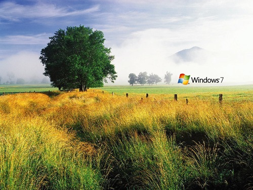wallpaper windows 8. Amazing Landscape Windows 7