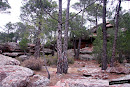 Bosque de pinar de rodeno