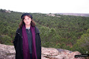 Bosque de pinar de rodeno